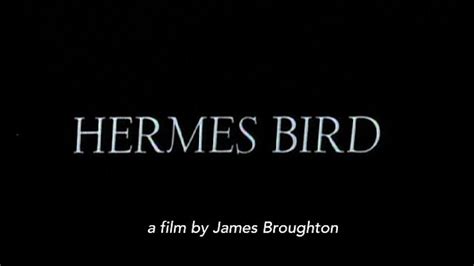 hermes bird short film watch|Hermes Bird .